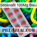 Sildénafil 100Mg Bleu 18